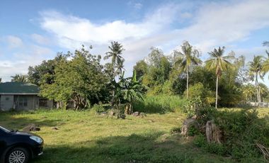 LOT FOR SALE IN DUMAGUETE CITY ID 14978