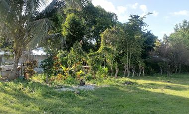 LOT FOR SALE IN DUMAGUETE CITY ID 14978