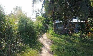 LOT FOR SALE IN DUMAGUETE CITY ID 14978