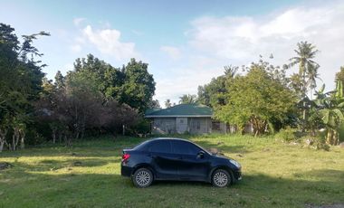 LOT FOR SALE IN DUMAGUETE CITY ID 14978