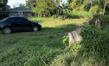 LOT FOR SALE IN DUMAGUETE CITY ID 14978