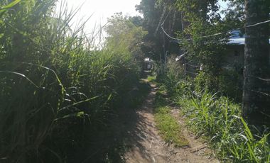 LOT FOR SALE IN DUMAGUETE CITY ID 14978