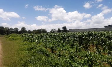 VENTA DE TERRENO EN ATOTONILCO EL GRANDE, HGO.