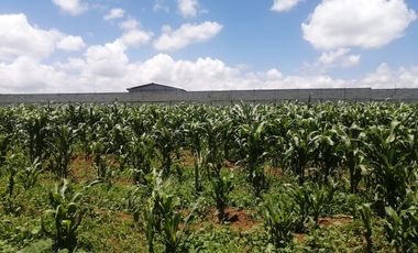VENTA DE TERRENO EN ATOTONILCO EL GRANDE, HGO.