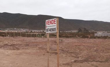 Parcela de 5070 m2, Rinconada El Sauce, Herradura Oriente, Coquimbo