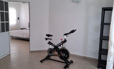 Casa Misha