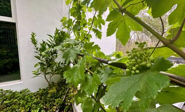 Casa en Venta, La Floresta, Bosques del Lago, Cuautitlán Izcalli