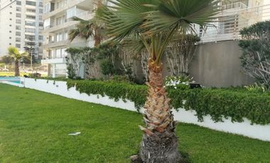 Departamento ubicado en exclusivo sector situado Frente Al Mar en VENTA