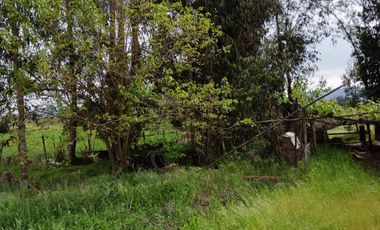 Parcela de 8000 mt2 con propiedad de 2D1B - EN VENTA