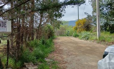 Parcela de 8000 mt2 con propiedad de 2D1B - EN VENTA