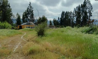 Parcela de 8000 mt2 con propiedad de 2D1B - EN VENTA