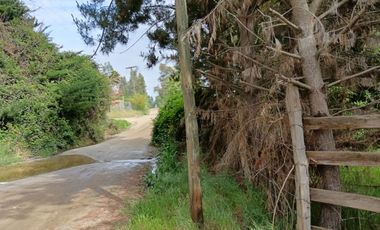 Parcela de 8000 mt2 con propiedad de 2D1B - EN VENTA
