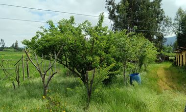 Parcela de 8000 mt2 con propiedad de 2D1B - EN VENTA