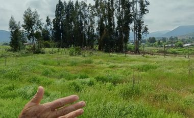 Parcela de 8000 mt2 con propiedad de 2D1B - EN VENTA