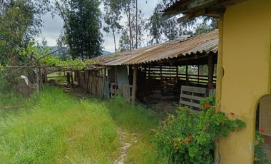 Parcela de 8000 mt2 con propiedad de 2D1B - EN VENTA