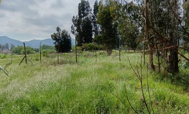 Parcela de 8000 mt2 con propiedad de 2D1B - EN VENTA