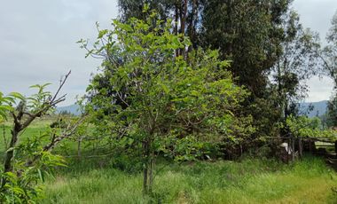 Parcela de 8000 mt2 con propiedad de 2D1B - EN VENTA