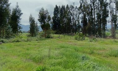 Parcela de 8000 mt2 con propiedad de 2D1B - EN VENTA