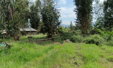 Parcela de 8000 mt2 con propiedad de 2D1B - EN VENTA