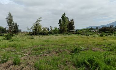 Parcela de 8000 mt2 con propiedad de 2D1B - EN VENTA