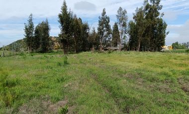 Parcela de 8000 mt2 con propiedad de 2D1B - EN VENTA