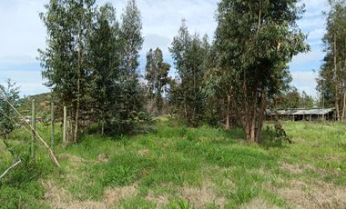 Parcela de 8000 mt2 con propiedad de 2D1B - EN VENTA
