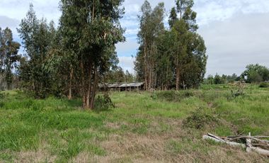Parcela de 8000 mt2 con propiedad de 2D1B - EN VENTA