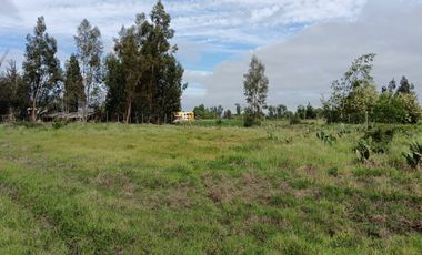 Parcela de 8000 mt2 con propiedad de 2D1B - EN VENTA