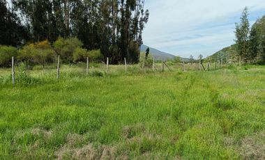 Parcela de 8000 mt2 con propiedad de 2D1B - EN VENTA