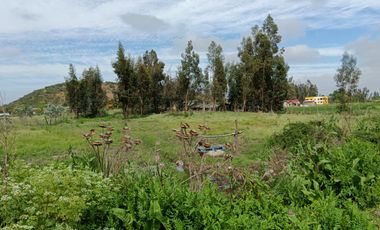 Parcela de 8000 mt2 con propiedad de 2D1B - EN VENTA