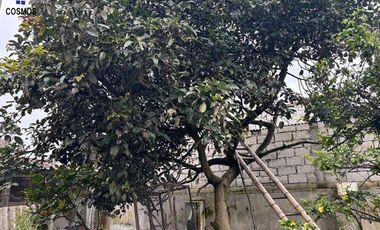 Venta de casa con terreno en Otavalo sector Fuente de Punyaro