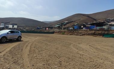VENDO TERRENO INDUSTRIAL IDEAL DEPOSITO-ALMACEN AV. LORETO $ 48 X M2 PARQUE PORCINO-VENTANILLA