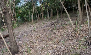 SE VENDE HERMOSO TERRENO EN SAN AGUSTÍN, ETLA.