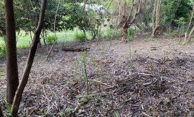 SE VENDE HERMOSO TERRENO EN SAN AGUSTÍN, ETLA.