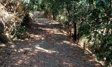 Se vende terreno de 3.228 m2 a orilla de lago Colbun