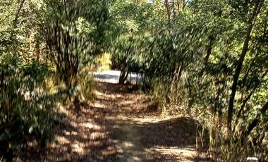 Se vende terreno de 3.228 m2 a orilla de lago Colbun