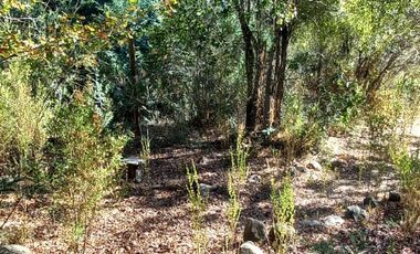 Se vende terreno de 3.228 m2 a orilla de lago Colbun