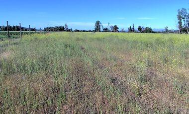 Se venden terrenos de 5000 m2 en Palmilla, Linares