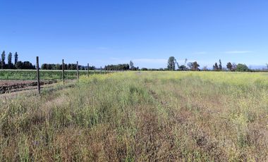 Se venden terrenos de 5000 m2 en Palmilla, Linares