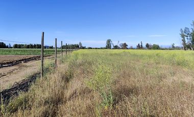 Se venden terrenos de 5000 m2 en Palmilla, Linares