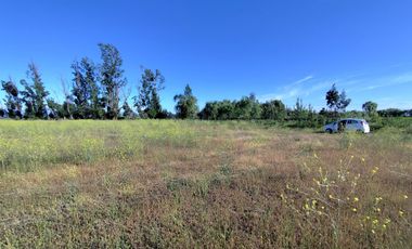 Se venden terrenos de 5000 m2 en Palmilla, Linares