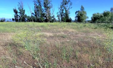 Se venden terrenos de 5000 m2 en Palmilla, Linares