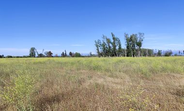 Se venden terrenos de 5000 m2 en Palmilla, Linares