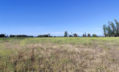 Se venden terrenos de 5000 m2 en Palmilla, Linares