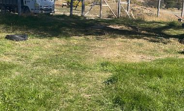 TERRENO GANADERO DE 25 HÁ. EN COCHRANE XI REGIÓN