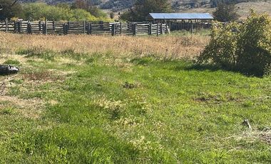 TERRENO GANADERO DE 25 HÁ. EN COCHRANE XI REGIÓN