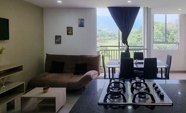 Apartamento amoblado en arriendo Pasollano 1