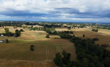Parcela en venta en Purranque de 4 hectáreas, Región de Los Lagos