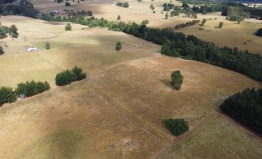 Parcela en venta en Purranque de 4 hectáreas, Región de Los Lagos