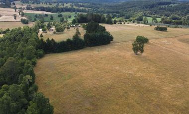 Parcela en venta en Purranque de 4 hectáreas, Región de Los Lagos